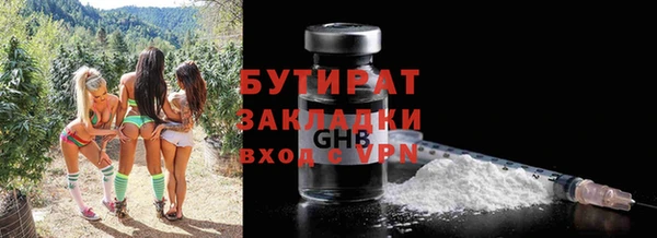 сатива Гусь-Хрустальный