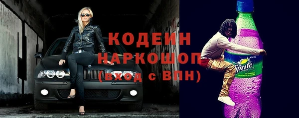сатива Гусь-Хрустальный