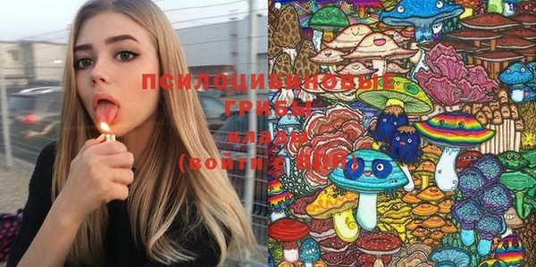 скорость Сясьстрой