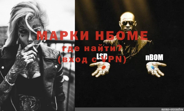 сатива Гусь-Хрустальный