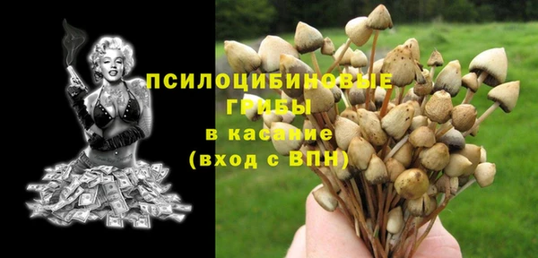 сатива Гусь-Хрустальный