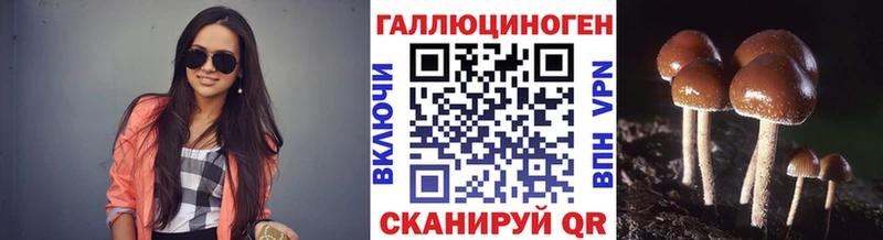 Галлюциногенные грибы Psilocybe Мценск